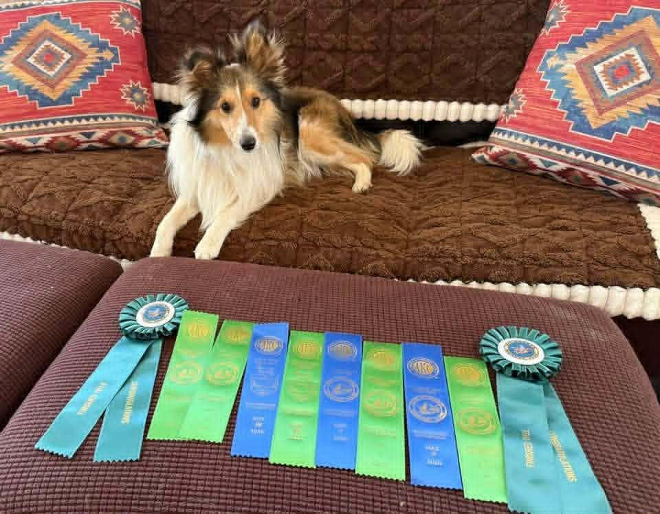 Brag Photo Bronco