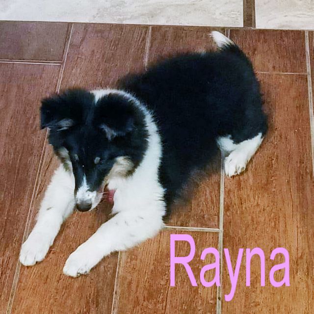 Brag Photo Rayna